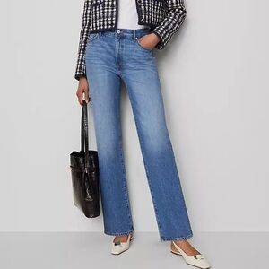 Ann Taylor the perfect straight Jean - Light Blue Denim Jeans